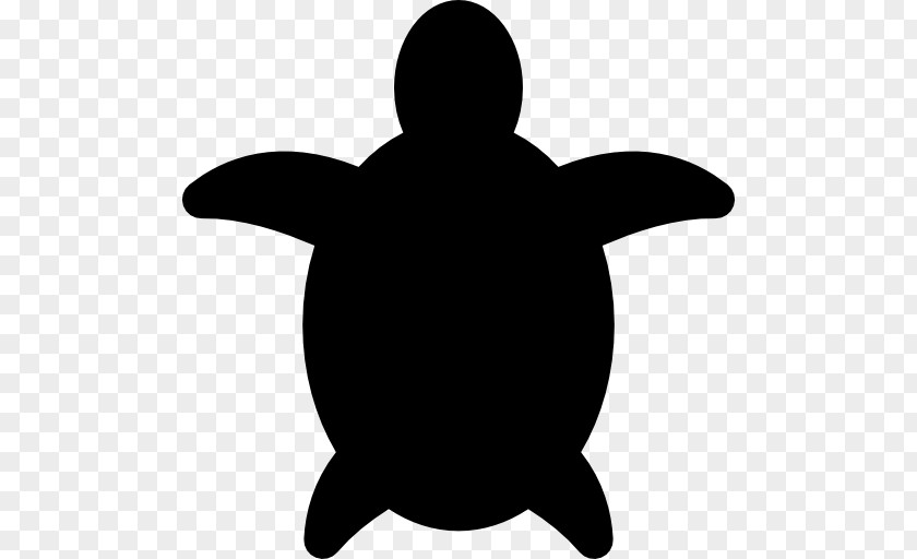 Turtle Tortoise Reptile Cheloniidae PNG