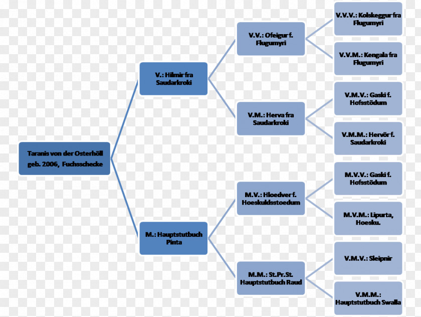 Family Tree Stakeholder Analysis Linearity Diagram Reihenfolge PNG