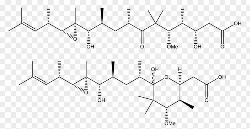 Gephyronic Acid Polyketide Triangle Technology PNG