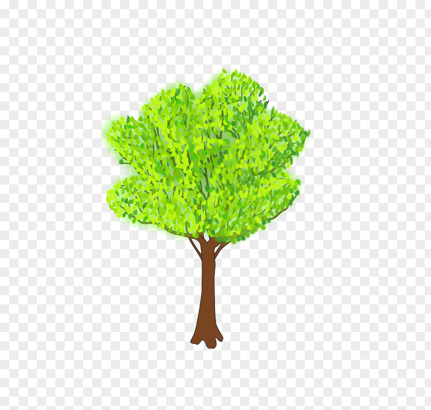 Greenery Clip Art Openclipart Tree Image Free Content PNG