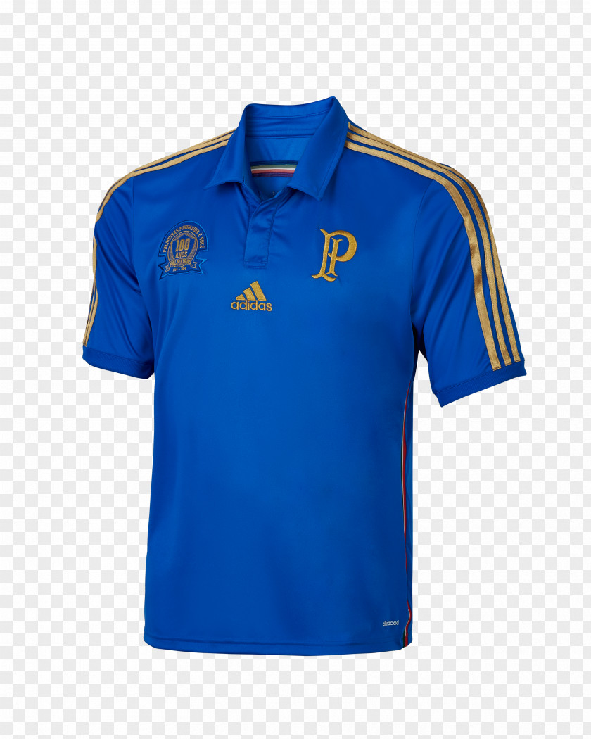 Shirt T-shirt Sociedade Esportiva Palmeiras Nike Clothing PNG