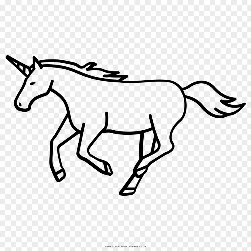 Unicorn Mule Pony Drawing Mustang PNG