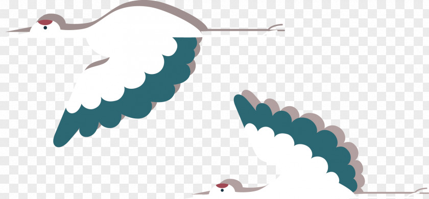 White Crane Drawing PNG