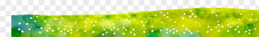 Beautiful Fresh Grass Floating Flowers Decorate The Bottom Edge Wheatgrass Energy Green Moisture Wallpaper PNG