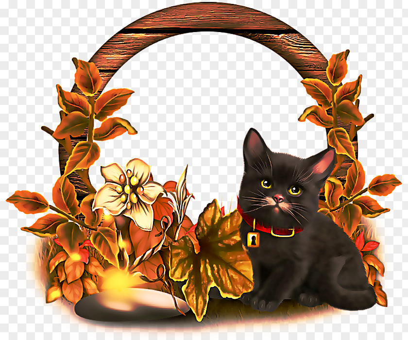 Black Cat Plant Web Design PNG