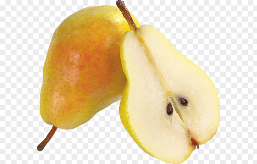 Fruit Anatomy Asian Pear Food Pyrus × Bretschneideri PNG