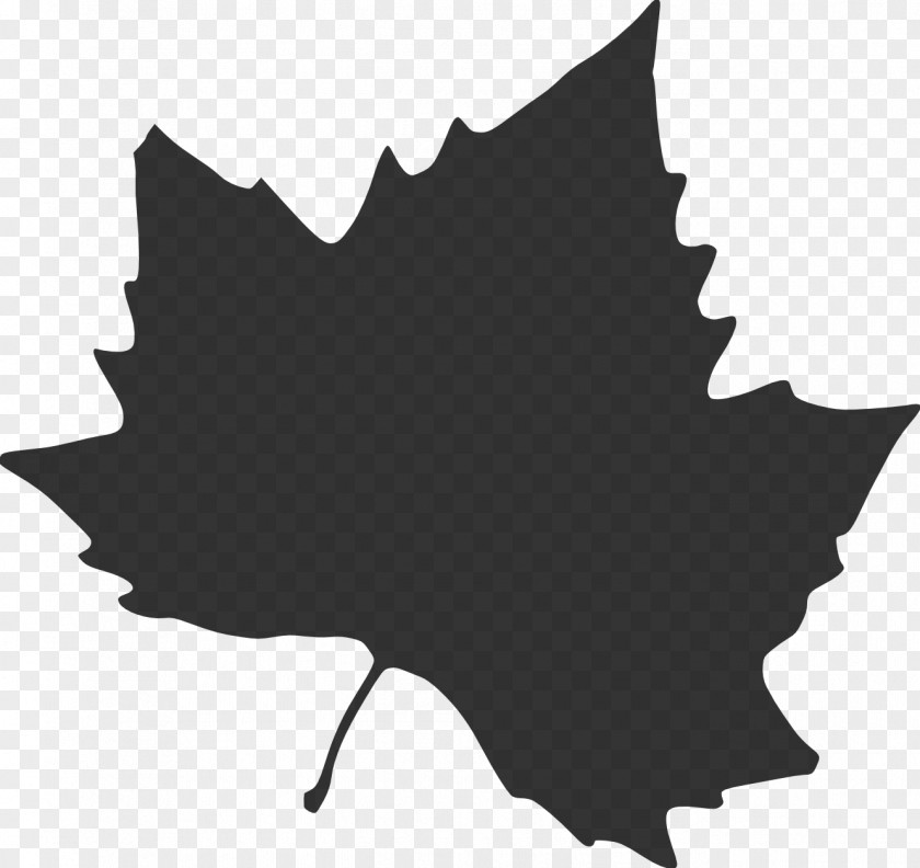 Maple Leaf Clip Art Drawing PNG