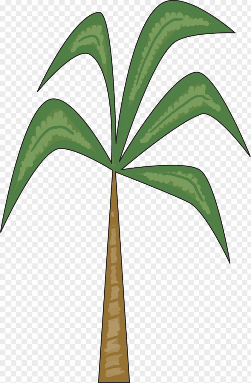 Chicka Boom Arecaceae Leaf Plant Stem Tree PNG