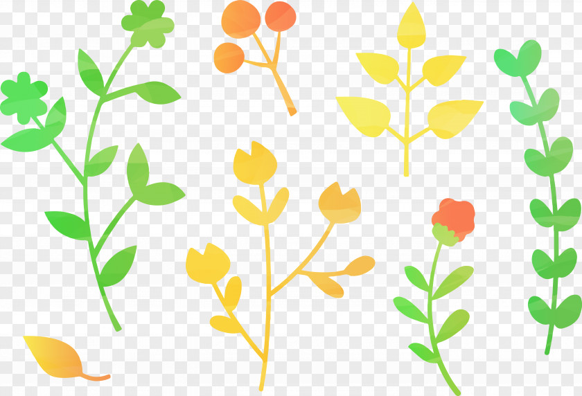 Colored Plants Leaf Plant Euclidean Vector Clip Art PNG