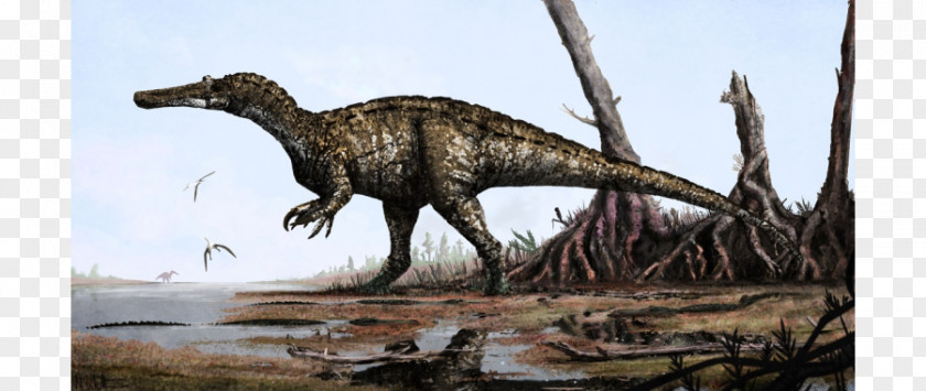 Dinosaur Baryonyx Spinosaurus Suchomimus Irritator PNG