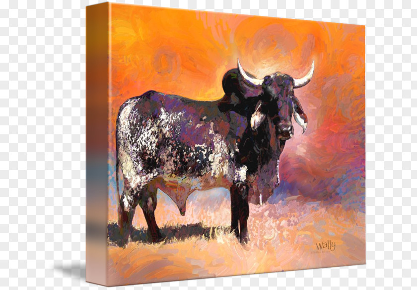 Painting Texas Longhorn English PNG