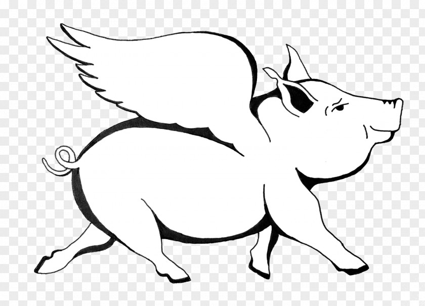 Pig Flying Marathon Whiskers When Pigs Fly The Dance Studio PNG