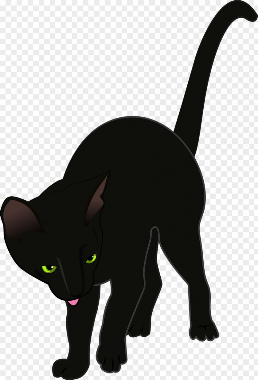Schwarze Katze Burmese Cat Vector Graphics Image Clip Art PNG