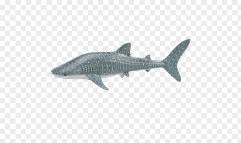 Shark Whale Safari Ltd Sea Life Centres Hammerhead PNG