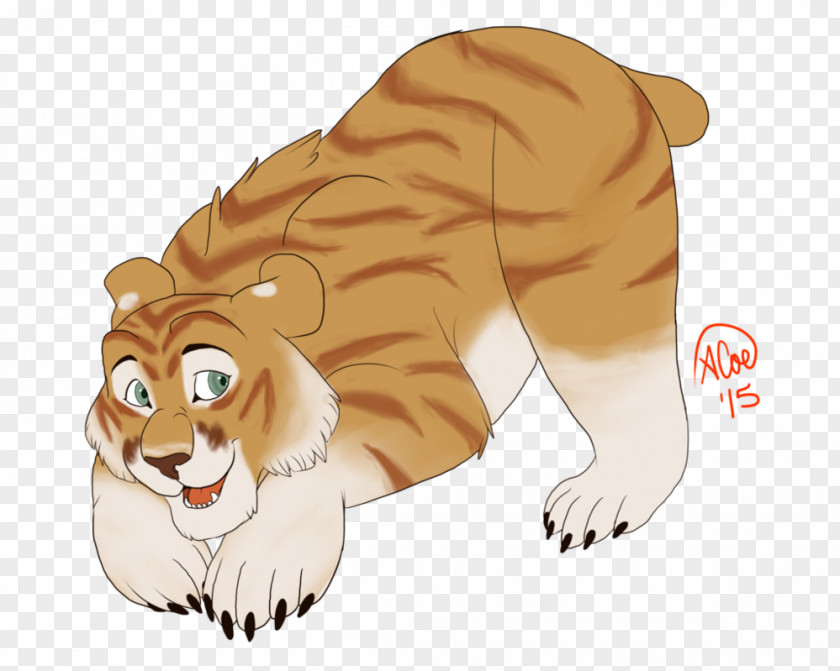 Tiger Whiskers Lion Cat PNG