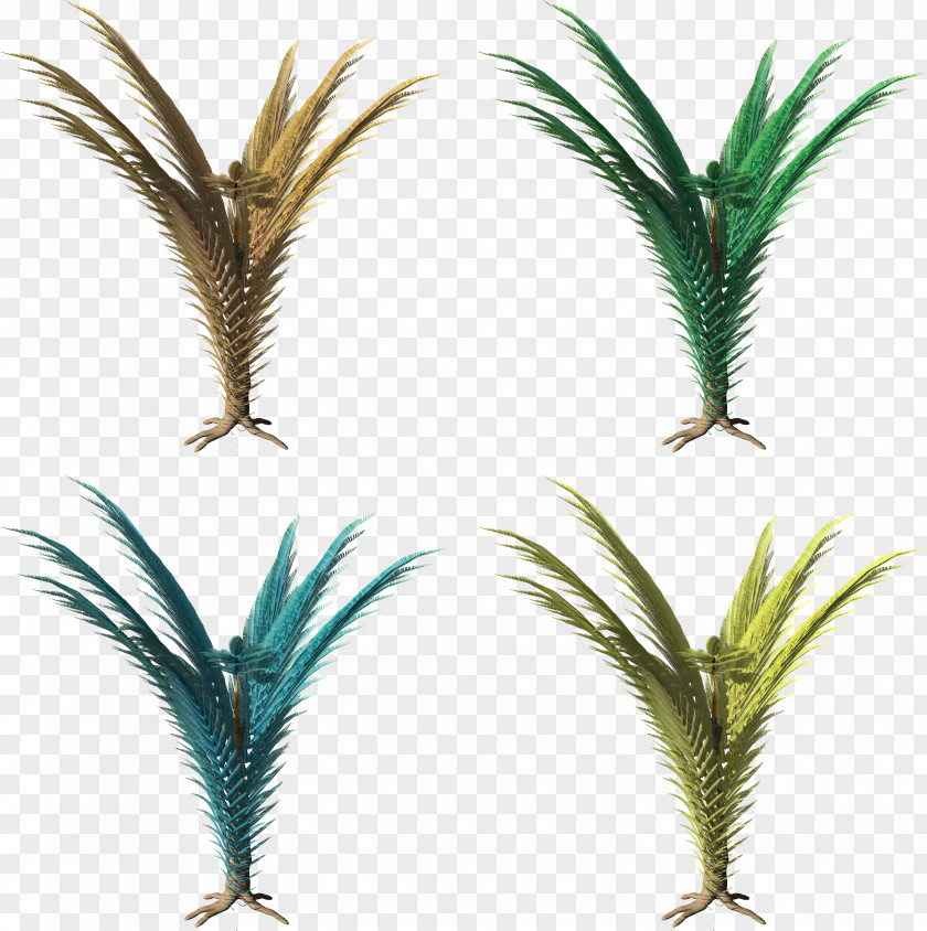 Tropical Grass Arecaceae Clip Art PNG