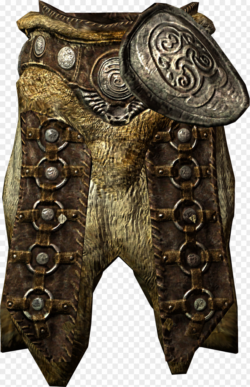 Armour The Elder Scrolls V: Skyrim Oblivion Online Scale PNG