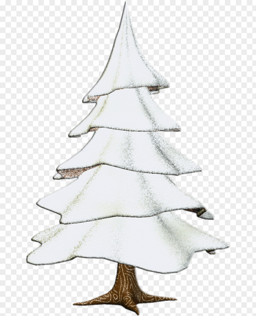 Christmas Tree Spruce Fir Ornament Evergreen PNG