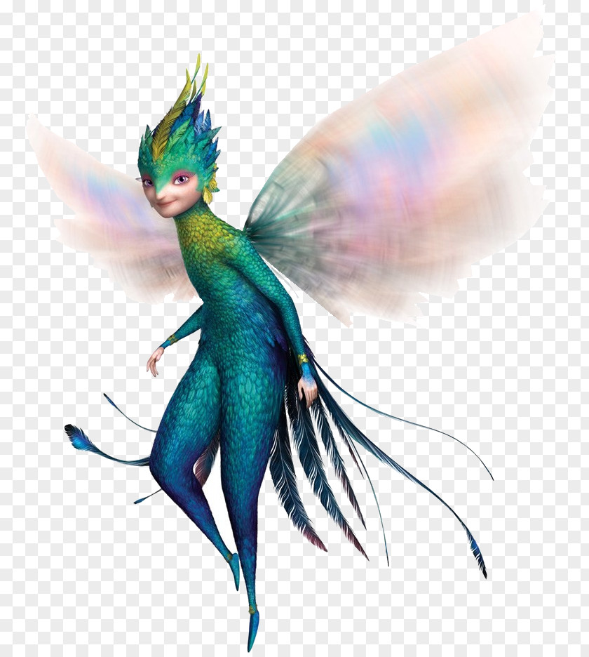 Fairy Angelet De Les Dents Jack Frost Toothiana: Queen Of The Tooth Armies Bunnymund DreamWorks Animation PNG