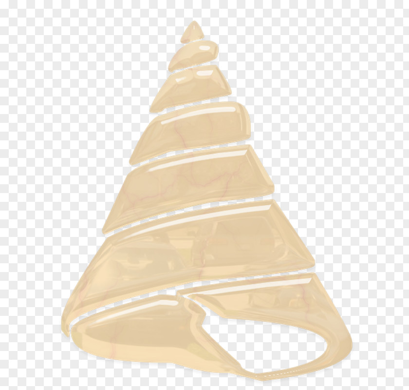 Hand-painted Conch Beige PNG
