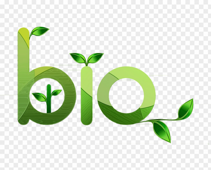 Logo Leaf Plant Stem Font Line PNG