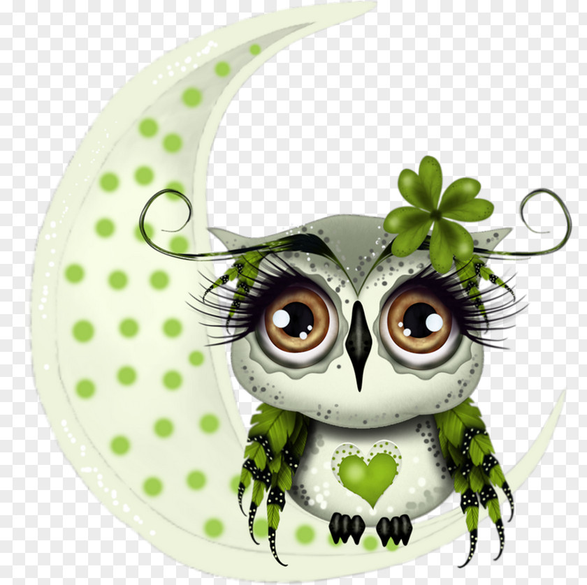 Owl Illustration Little Night Painting PNG