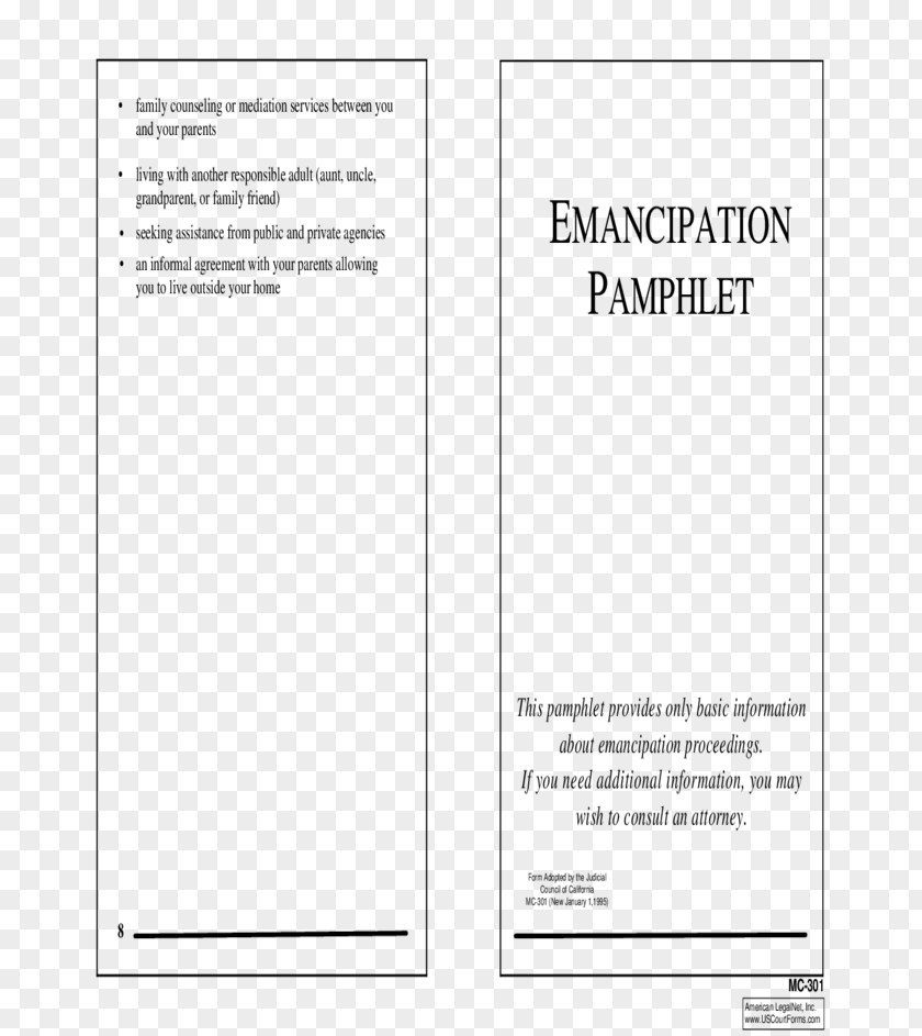 Pamphlet Emancipation Of Minors Court Child Custody PNG