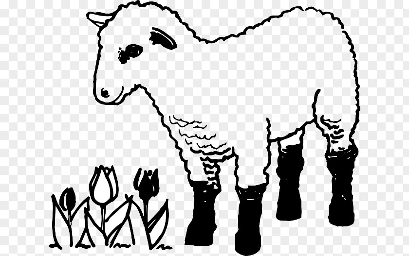 Sheep Colouring Pages Coloring Book Lamb And Mutton Goat PNG