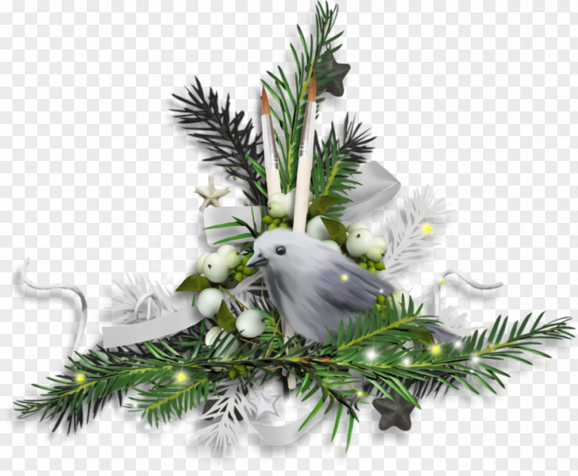 Spruce Conifer Christmas Ornaments Decoration PNG