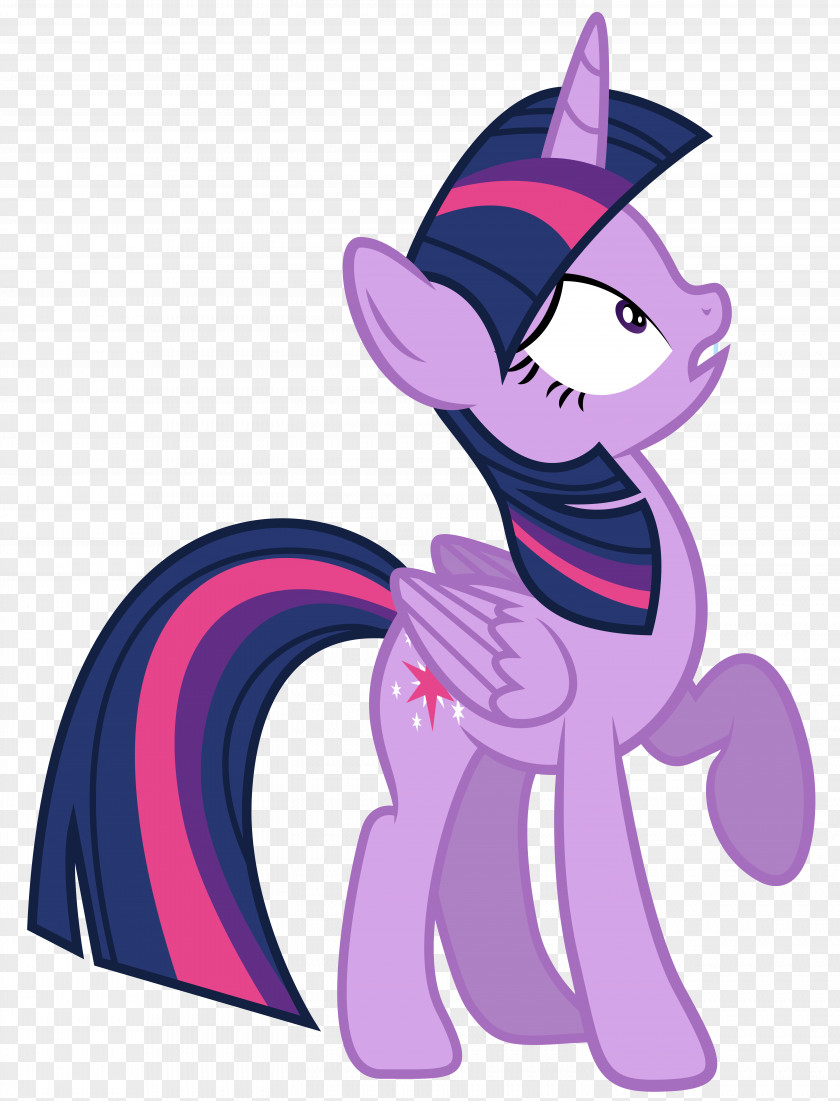 Twilight Sparkle Rainbow Dash Pinkie Pie Pony Winged Unicorn PNG