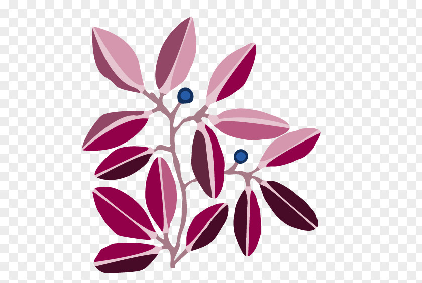 Anorexia Petal Floral Design MyHeritage Genealogical DNA Test PNG
