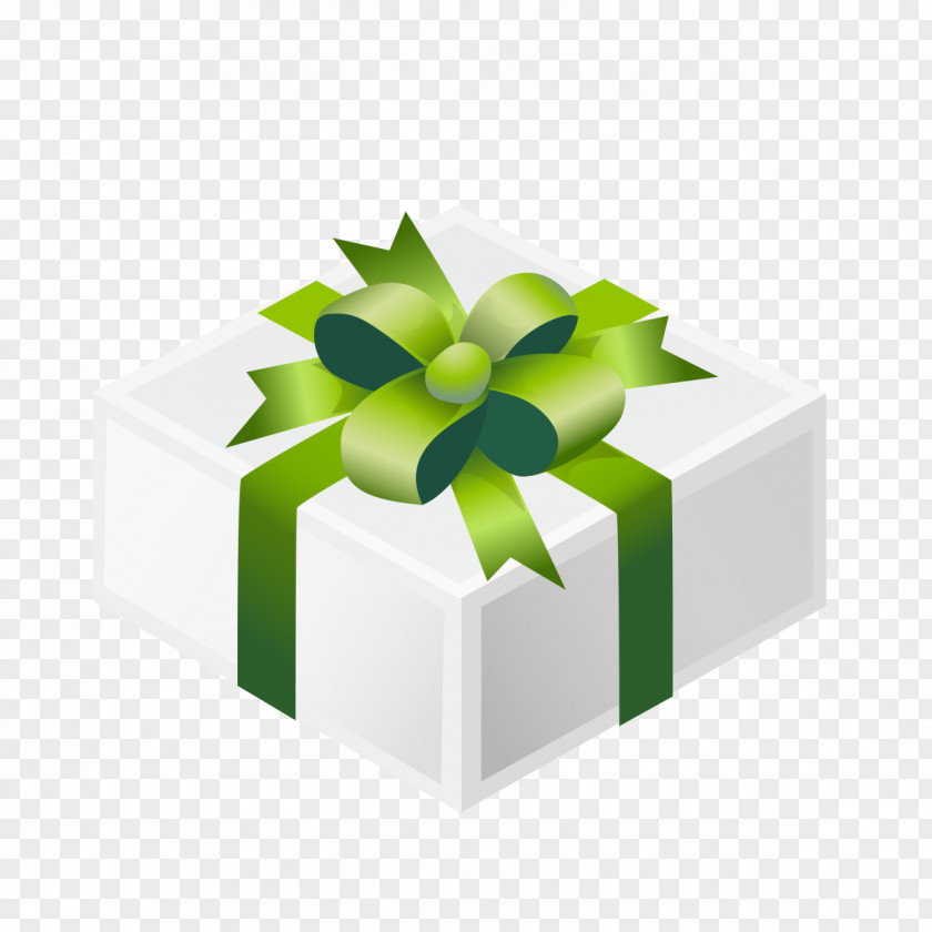 Green Flowers Gift Box PNG