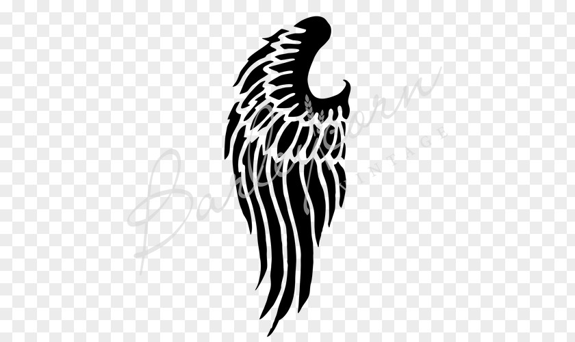 Angel Wings Stencil Graphics Plastic BoPET PNG