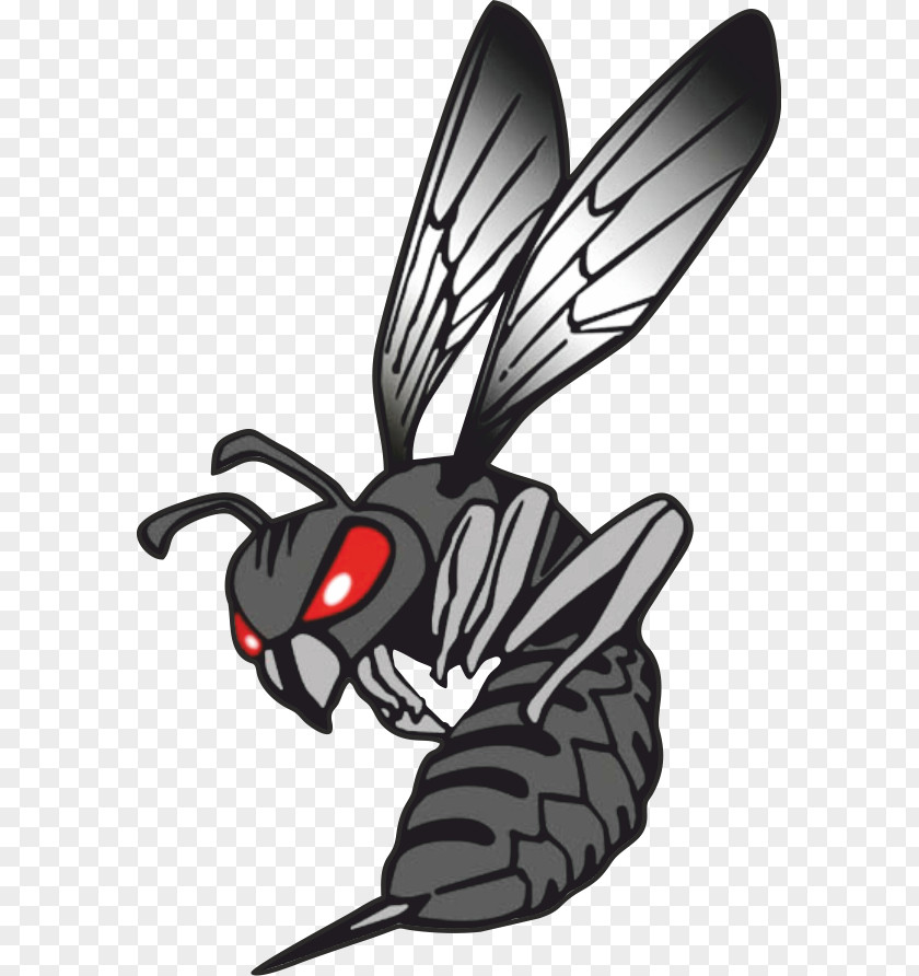 Black Hornet Nano Bald-faced Honda Logo Clip Art PNG