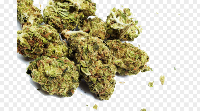 Cannabis Medical Dispensary Shop Marijuana PNG