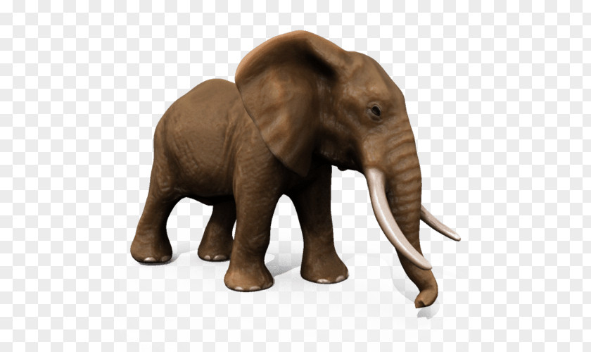Elephant Rabbit African Asian Animal 3D Modeling PNG