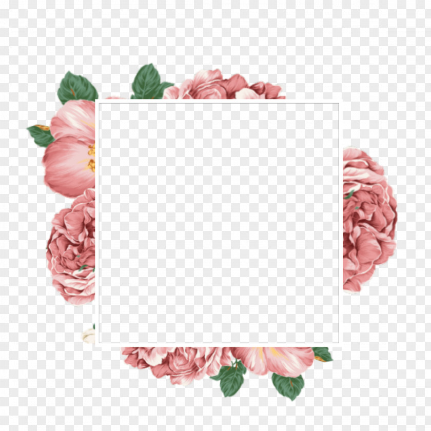 Floral Frame Image Photography Pretoria PicsArt Photo Studio PNG