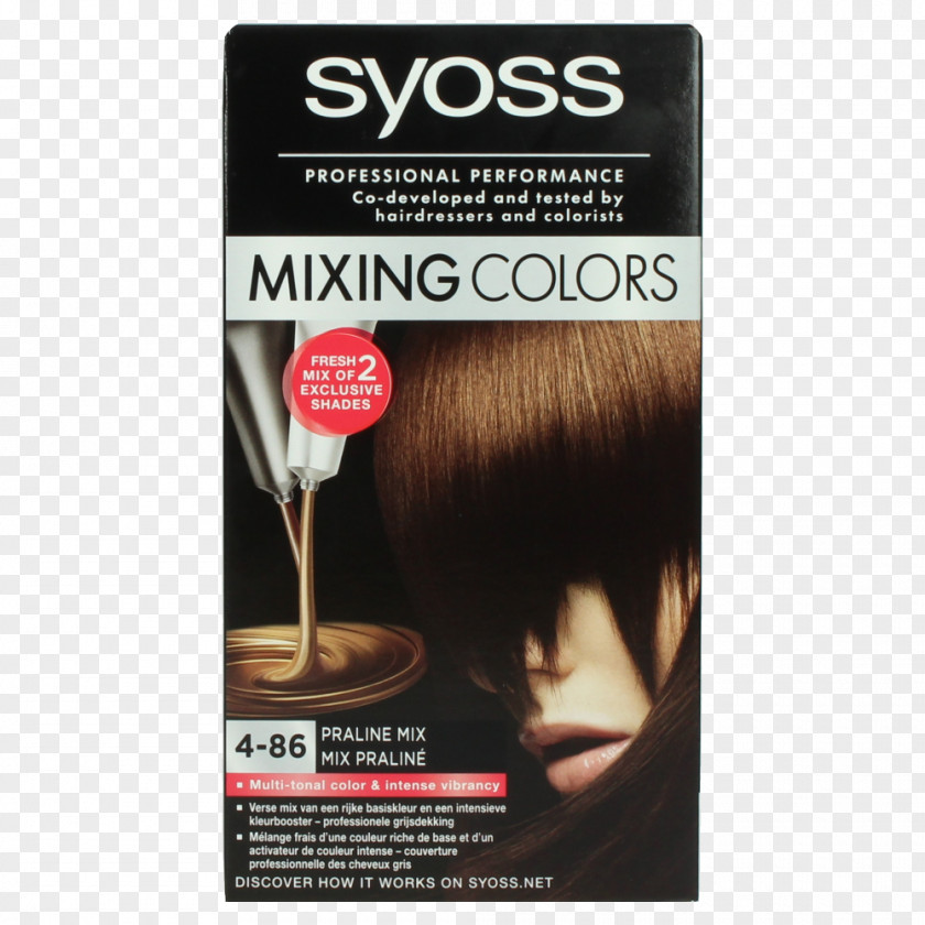 Mix Color Human Hair Coloring Mixing Hairdresser PNG