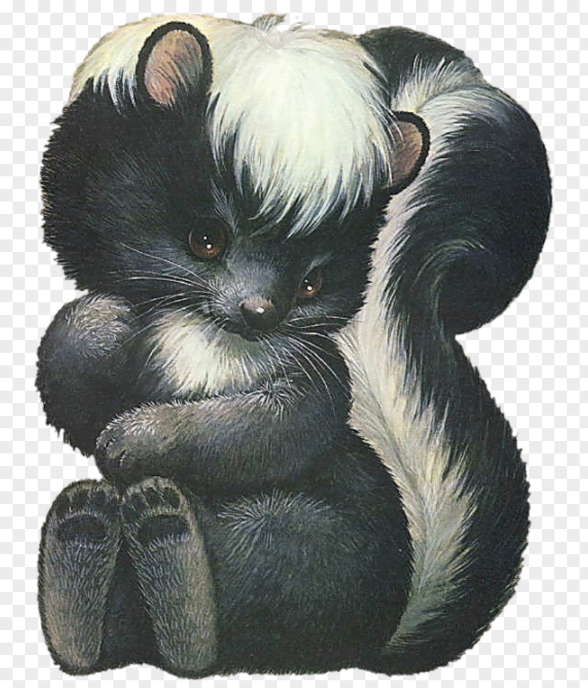 Skunk Mammal Animal Tattoo Ink PNG