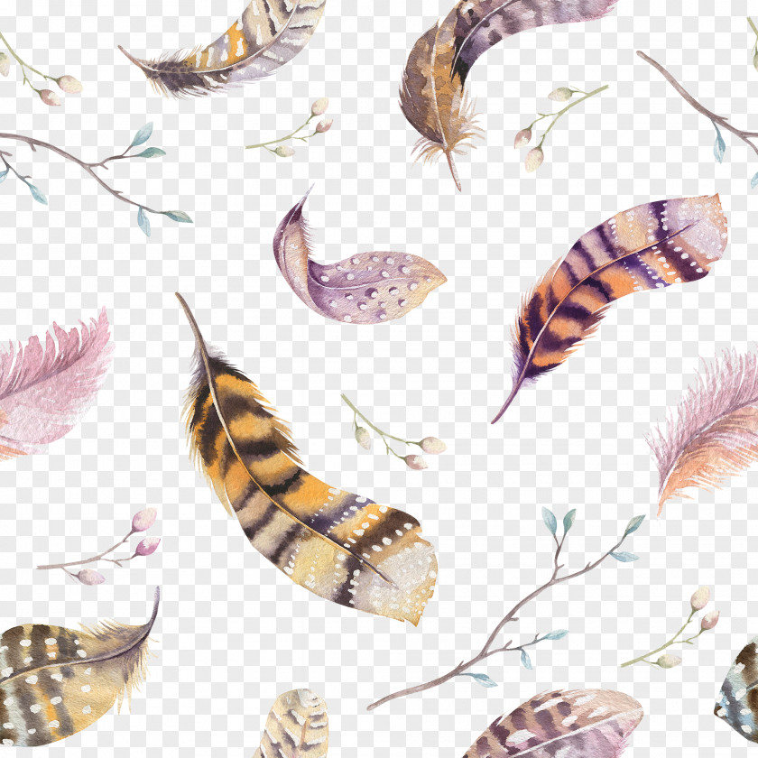 Feather Watercolor Painting Stock Photography Drawing PNG
