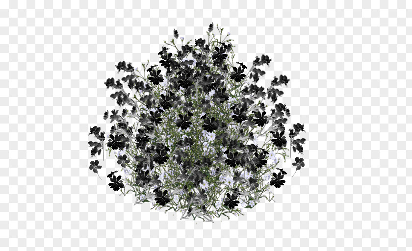 Flower Black Floral Design Image File Formats Clip Art PNG