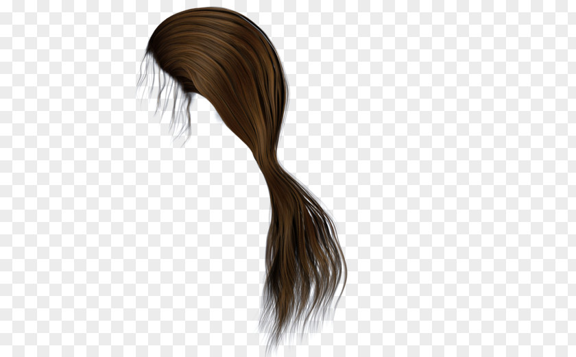 Hairs Brown Hair Ponytail Hairstyle PNG