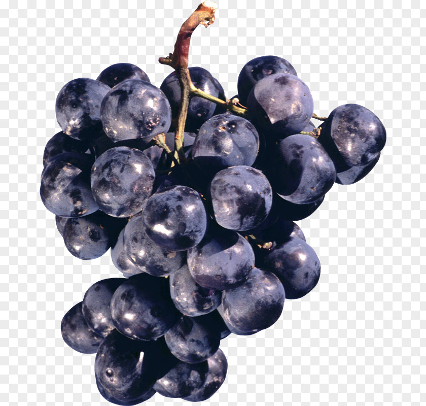 Juice Common Grape Vine Concord Sultana PNG