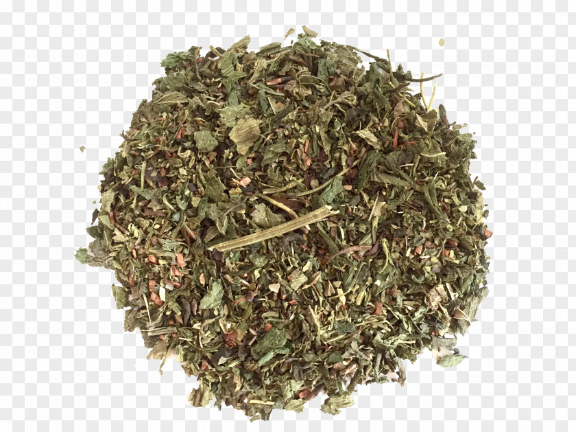 Tea Nilgiri Herb Organic Food Hōjicha PNG