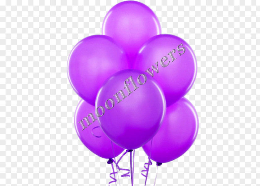 Balloon Birthday Purple Violet Clip Art PNG