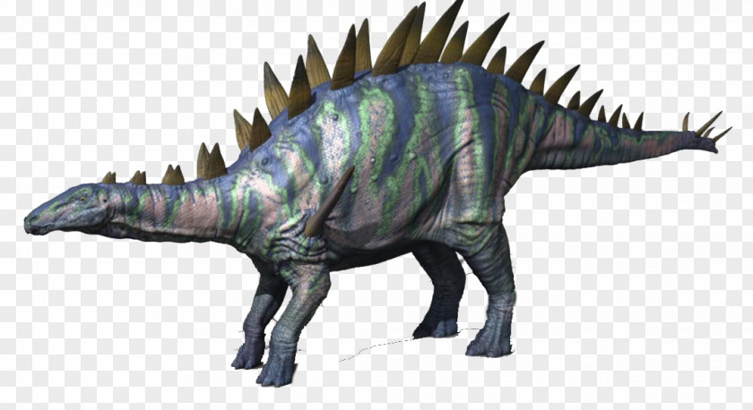 Dinosaur Tyrannosaurus Tuojiangosaurus Stegosaurus Kentrosaurus Wuerhosaurus PNG