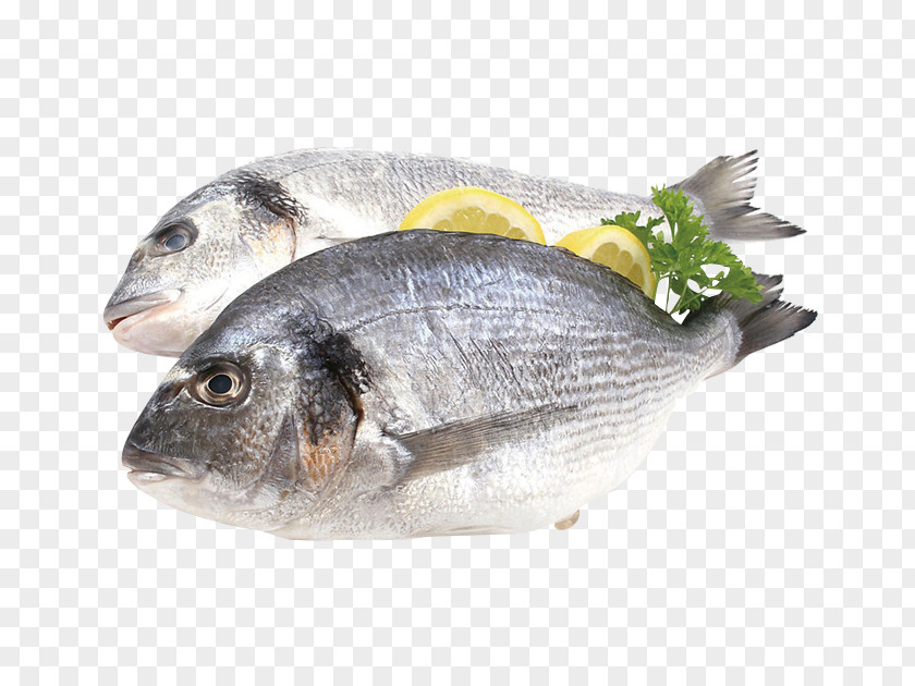 Fish Flyer Gilt-head Bream Promotion Supermarket PNG