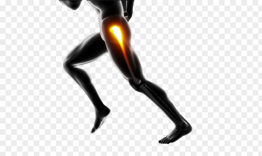 Orthopaedic Surgery Joint Knee Collagen Hyaluronic Acid Bone PNG