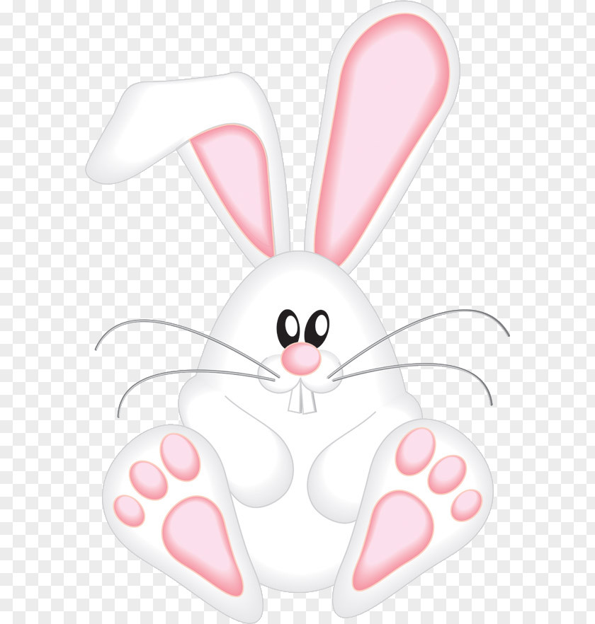Pattern With Bear And Footprints Shapes Easter Bunny European Rabbit Clip Art PNG