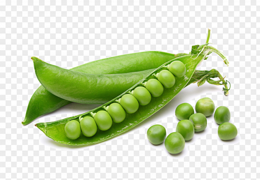 Peas Vegetable HQ Pictures Chickpea Legume Fruit PNG